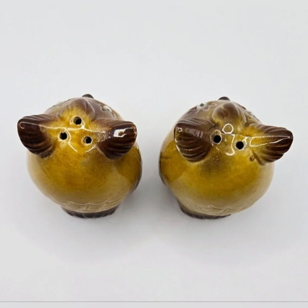Vintage Japan Owl Salt and Pepper Shakers Brown Ceramic Google Eye Pair